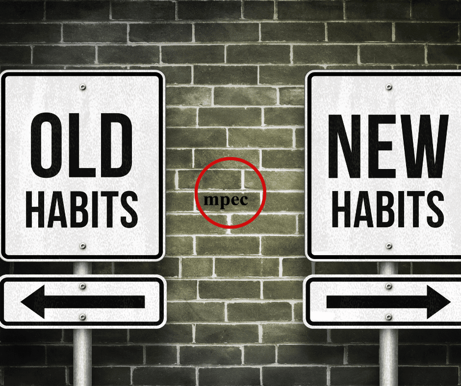 Al momento stai visualizzando mpec: Talking about Habits, Past & Present, in English.
