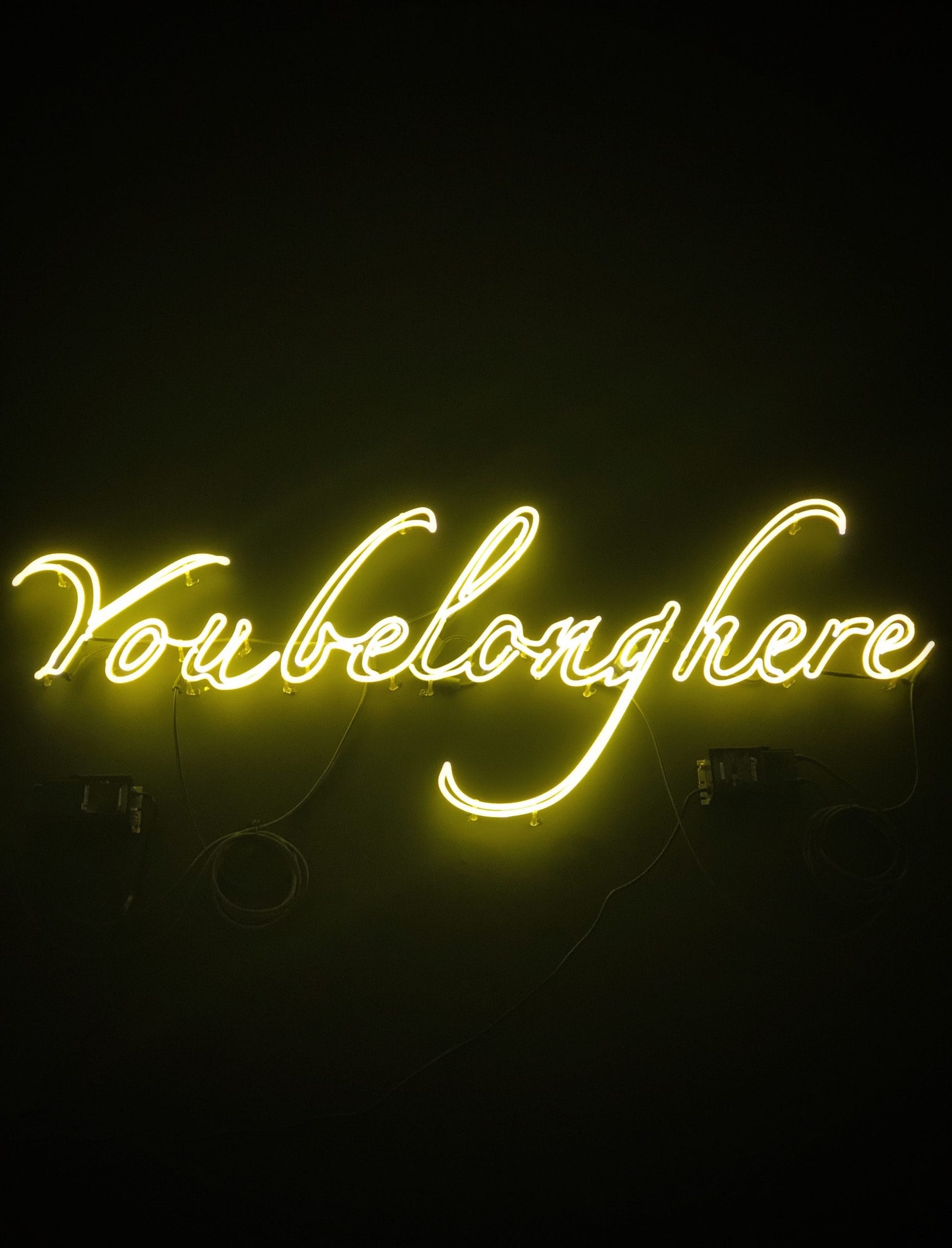 Al momento stai visualizzando Let’s talk about: The Need to Belong