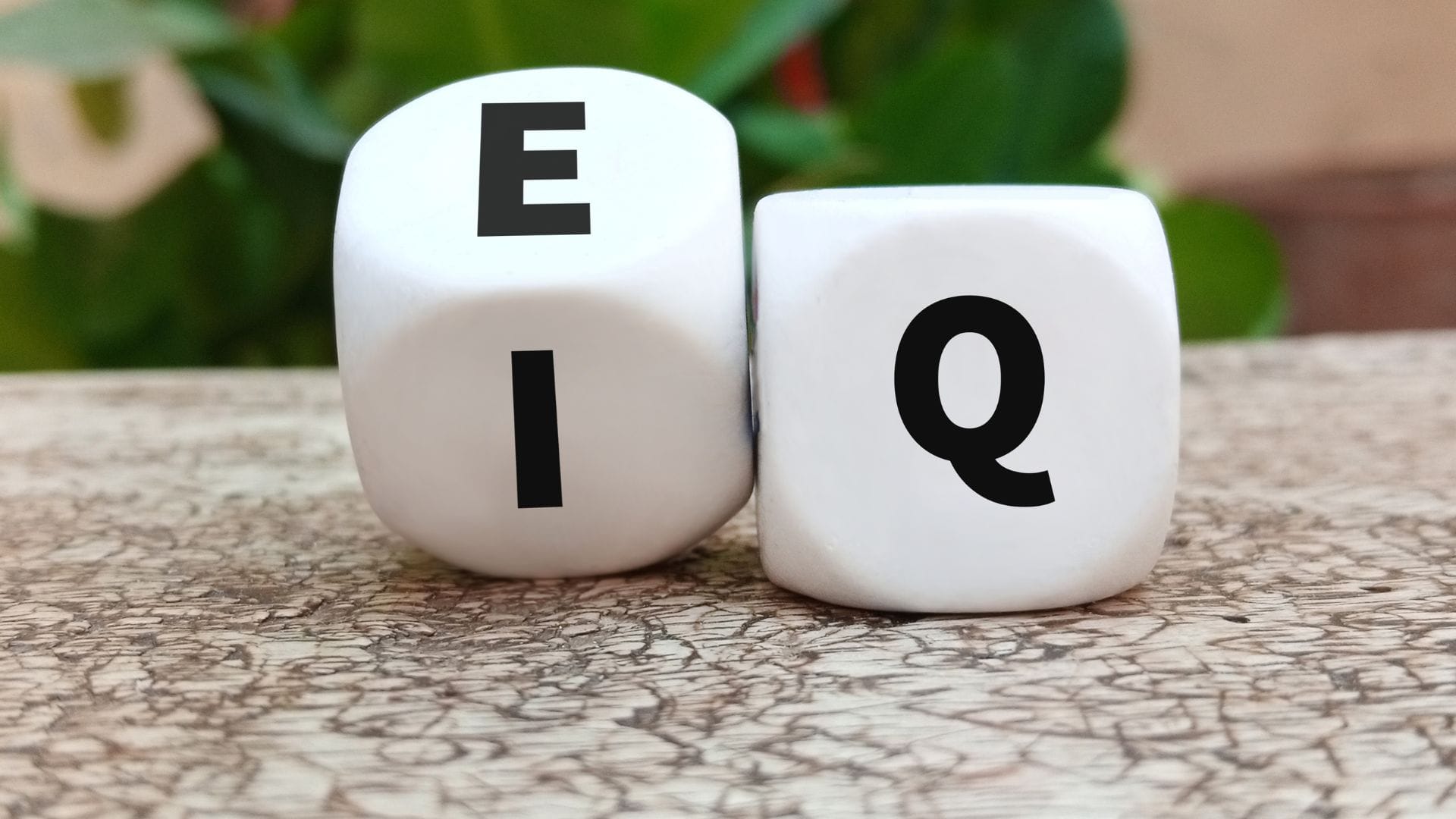 You are currently viewing Unlocking the Secret to Effective Language Acquisition: Why Emotional Intelligence Matters