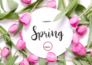 Let’s Talk About: Spring and Seasons