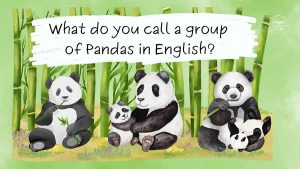 Scopri di più sull'articolo 🐾 Perché diciamo “a tower of giraffes” e “a murder of crows”? La storia affascinante dei nomi collettivi in inglese!